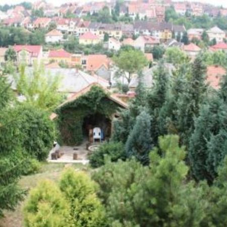 Borbarat Vendeghaz Villa Eger Luaran gambar